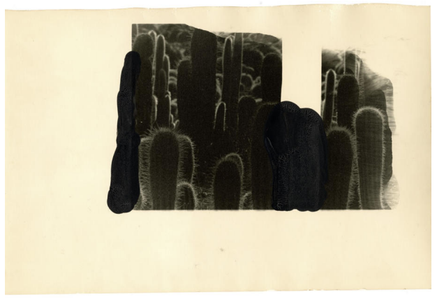 Revered As Sacred Entities #6 by Bruno V. Roels