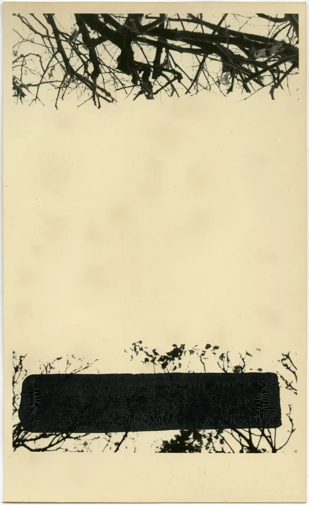 Paris Borders #2 by Bruno V. Roels