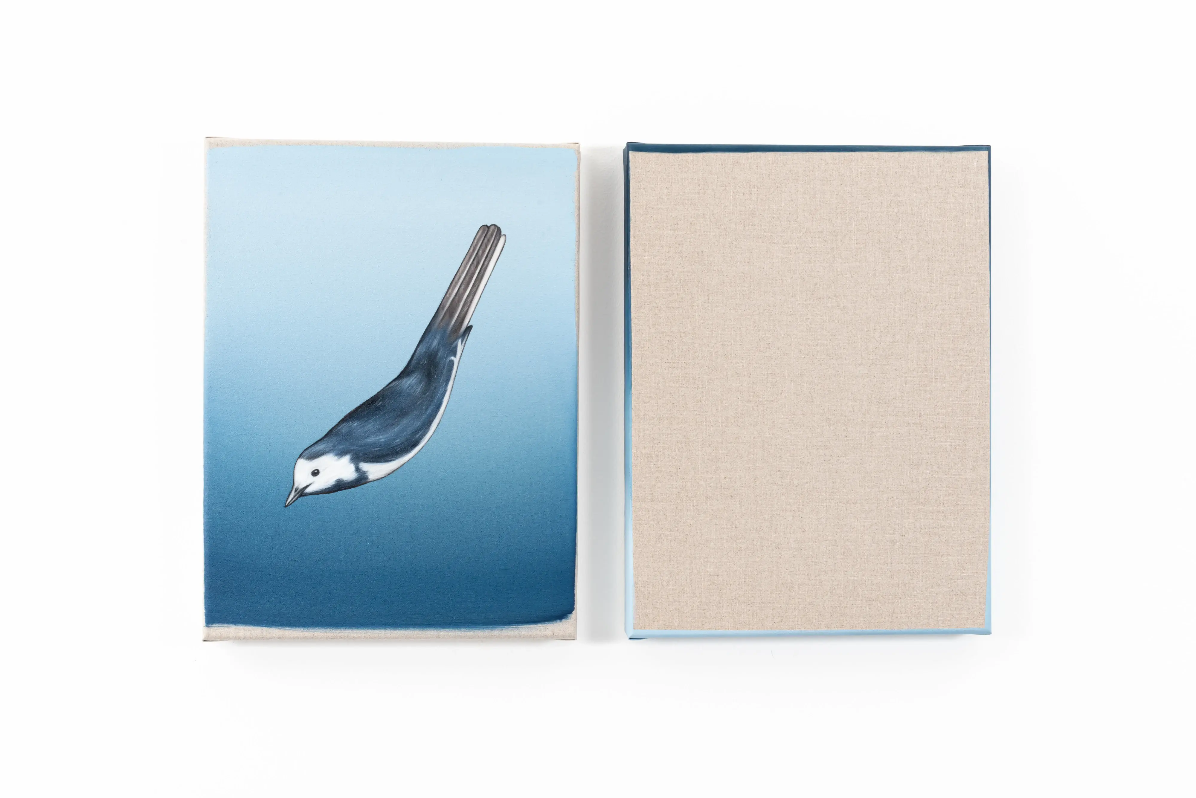 Wagtail by Nelleke Cloosterman