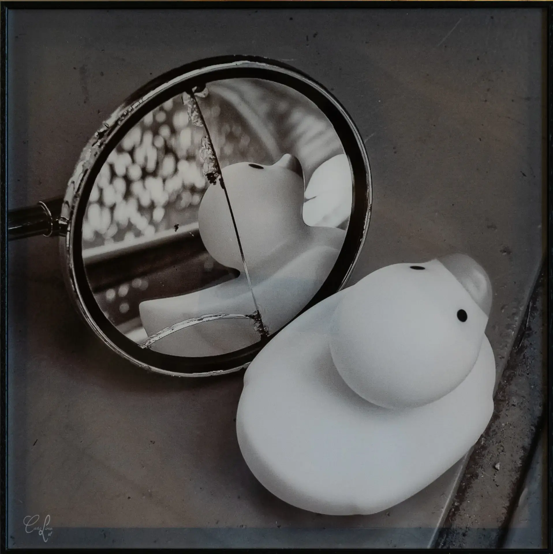 Le canard, Anvers by Caroline Laval