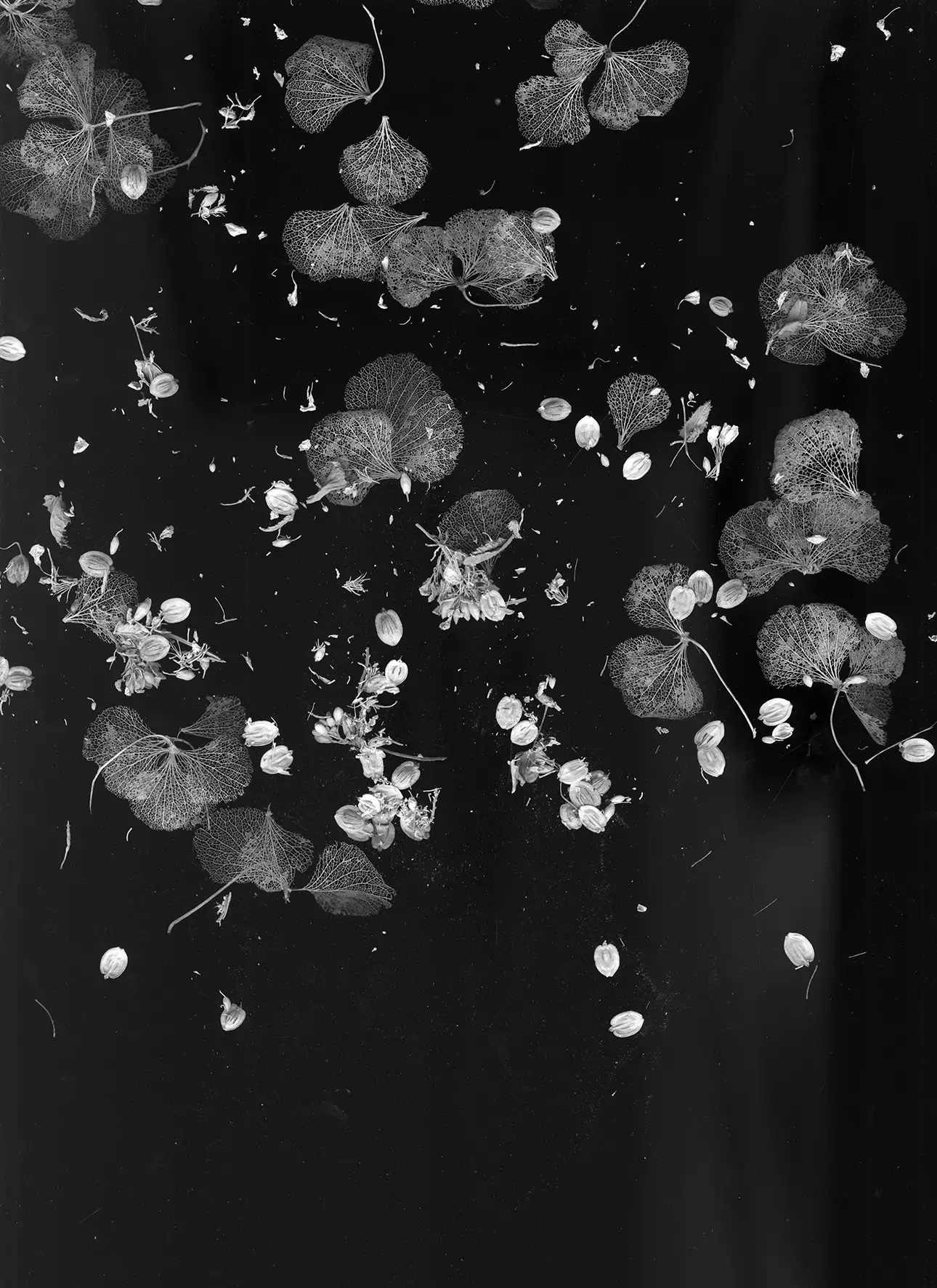 Cartographie du ciel 5 by Mathilde Nardone