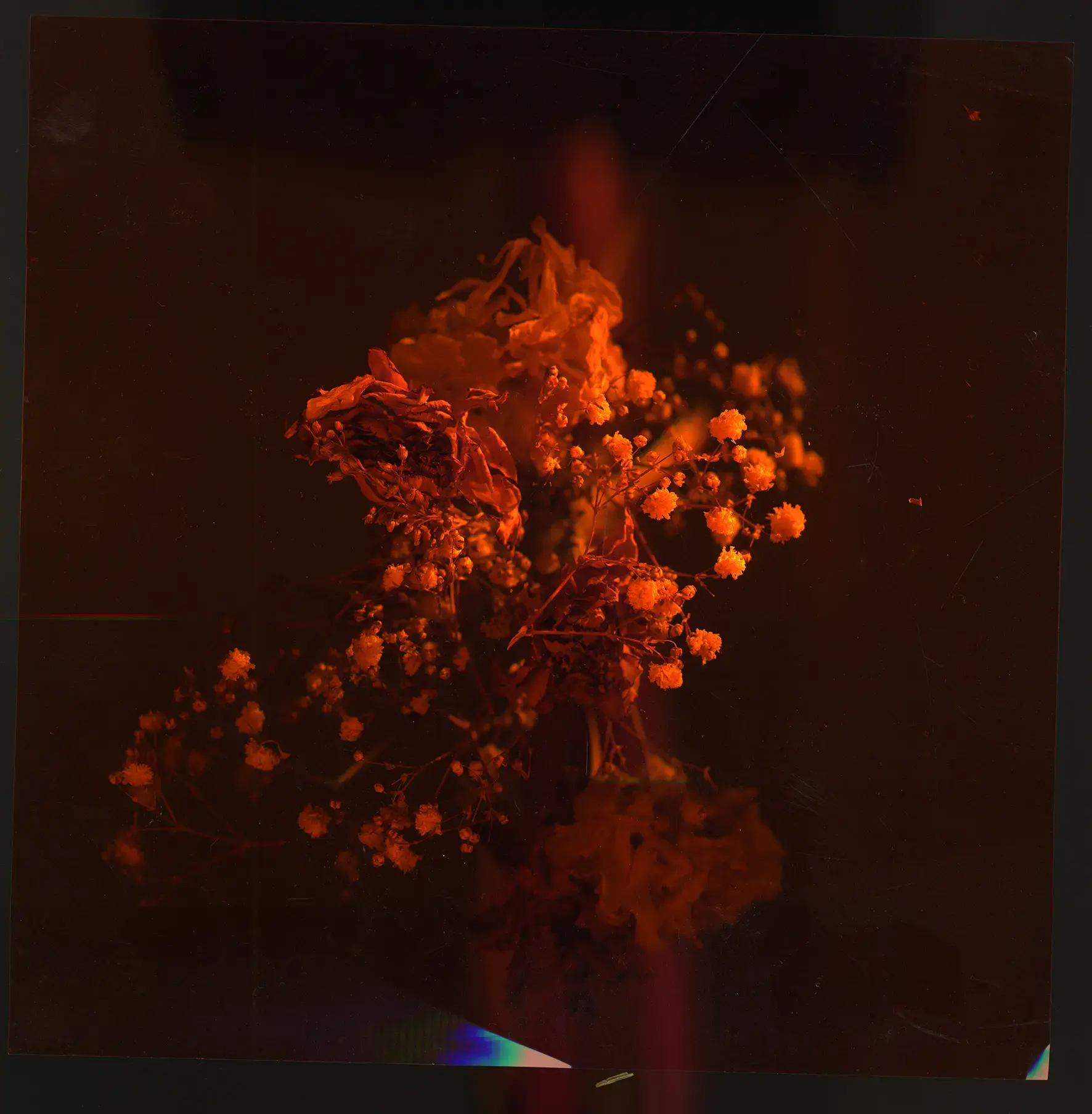 Cristallisation 1 by Mathilde Nardone