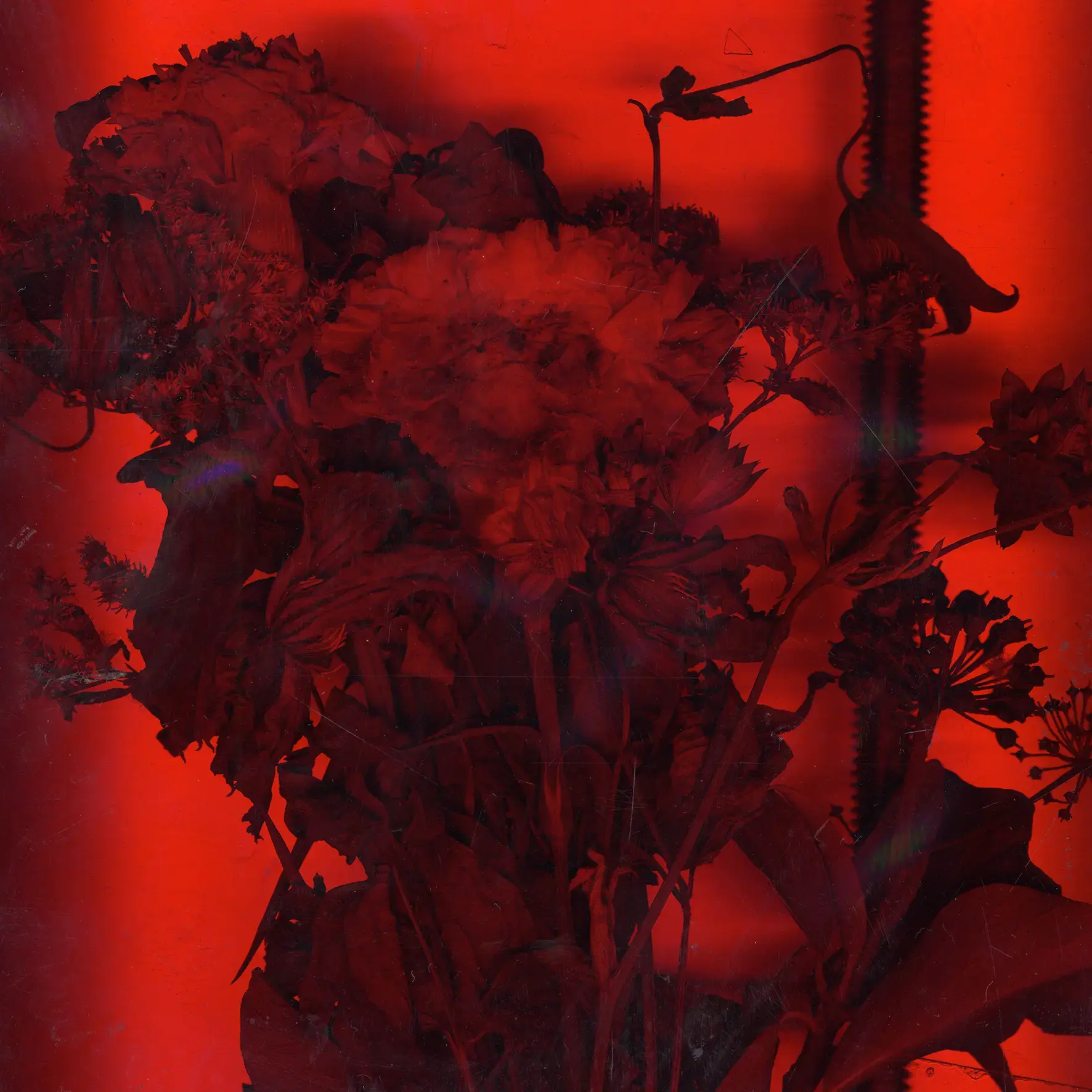 Cristallisation 3 by Mathilde Nardone