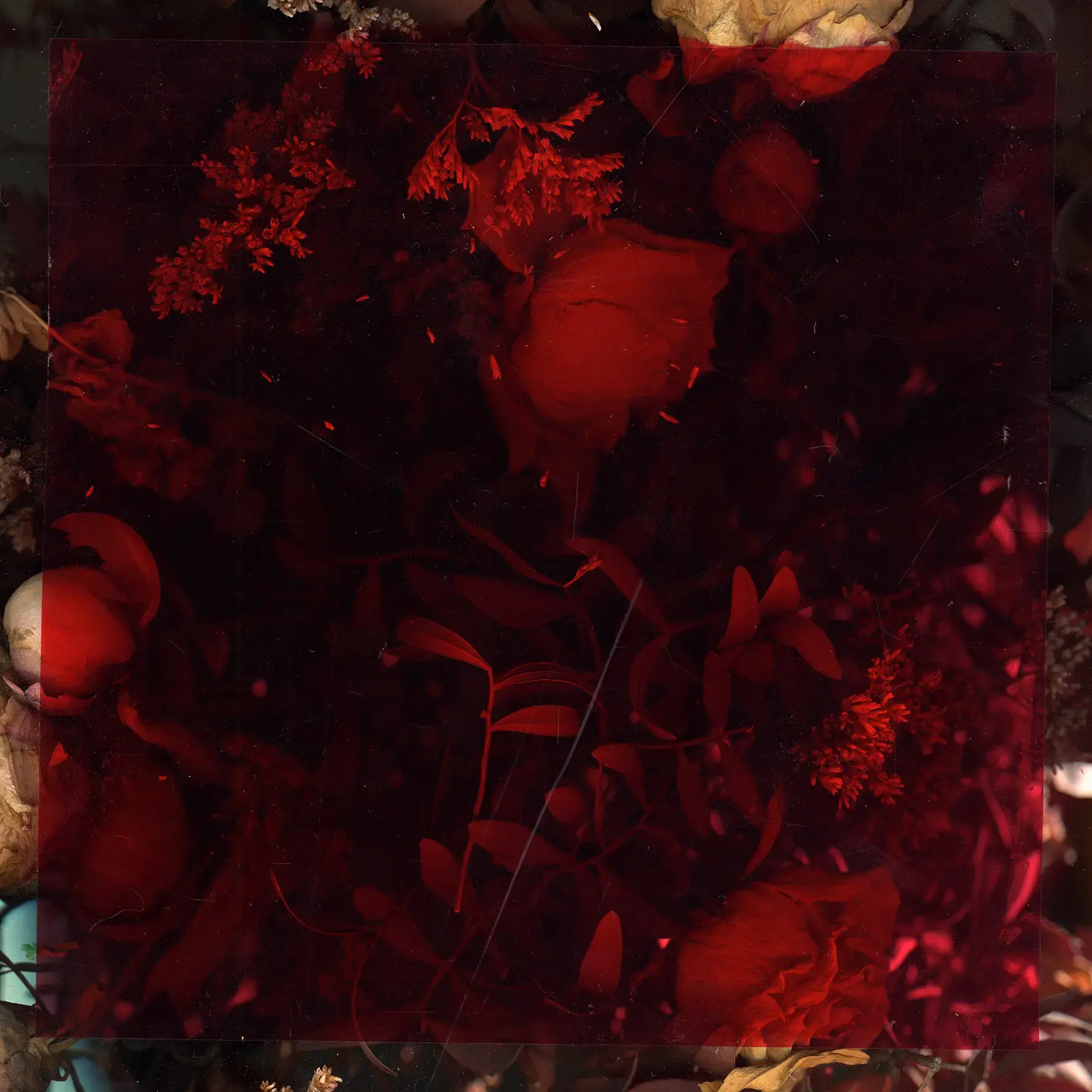 Cristallisation 4 by Mathilde Nardone