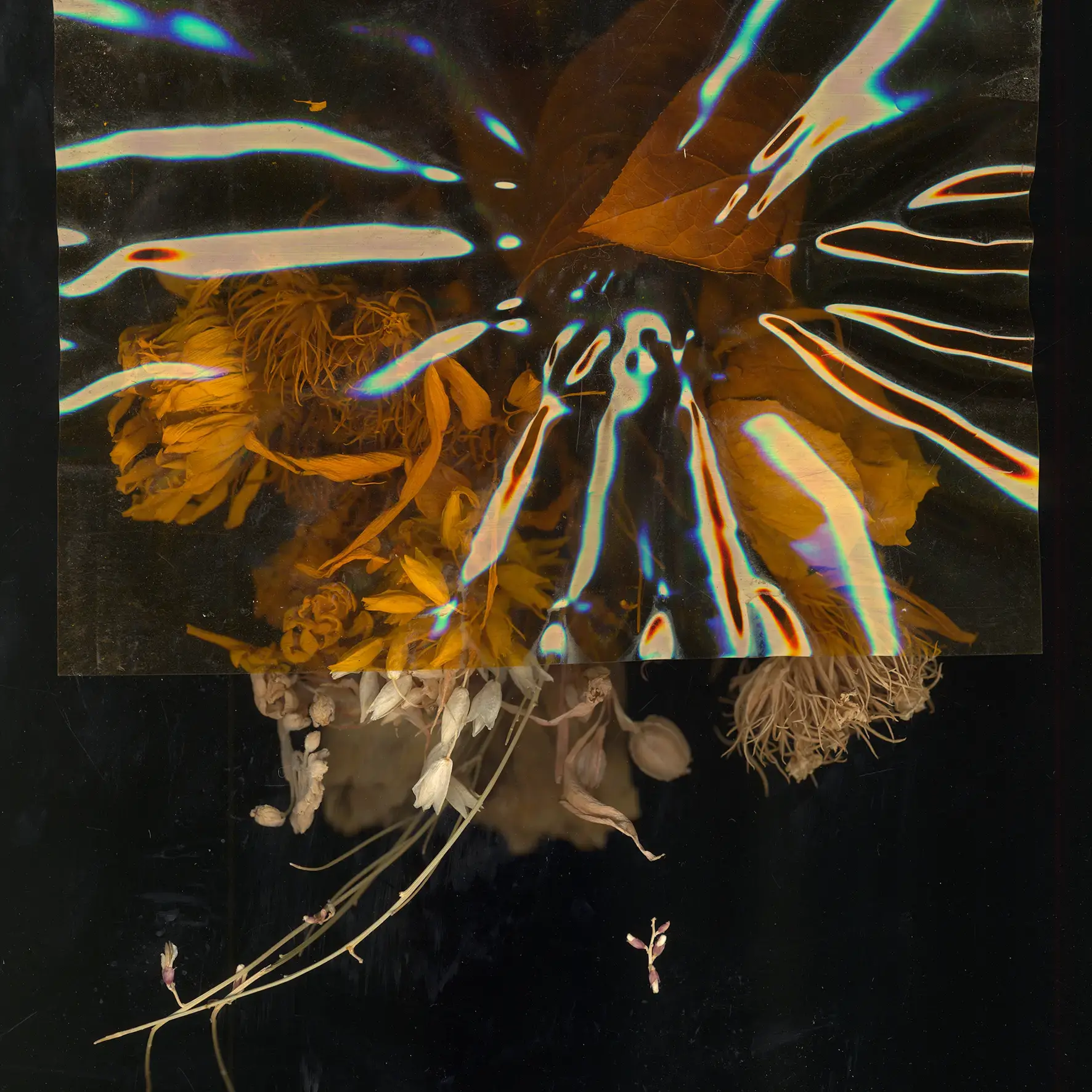 Cristallisation 6 by Mathilde Nardone