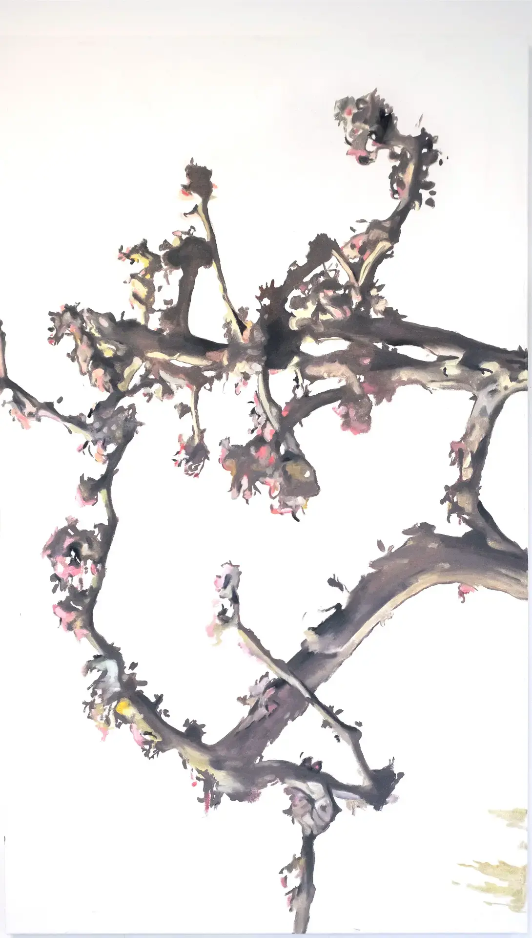 Feedback Loop by null