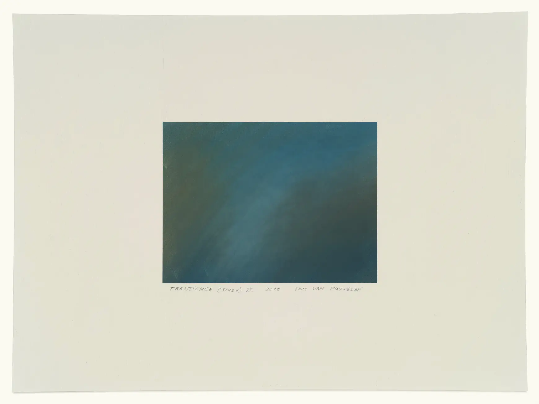 Transcience (study) IV by Tom Van Puyvelde
