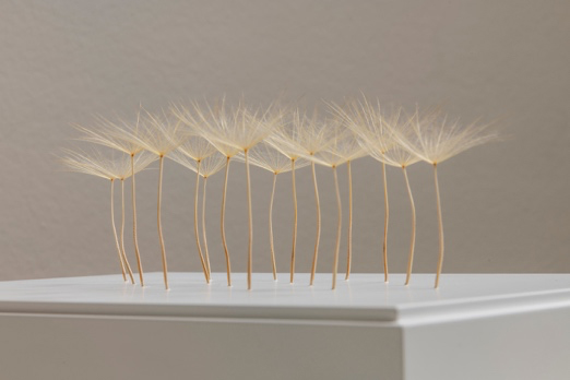 Kleine Annsammlung (small collection) by Christiane Löhr