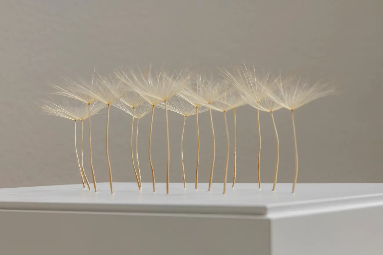Kleine Ansammlung / Small Collection by Christiane Löhr