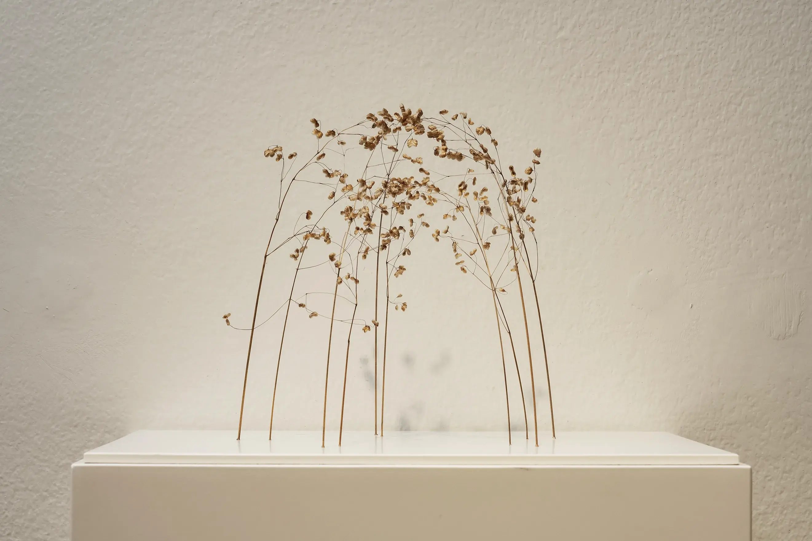 Doppelkuppel / Double Dome by Christiane Löhr